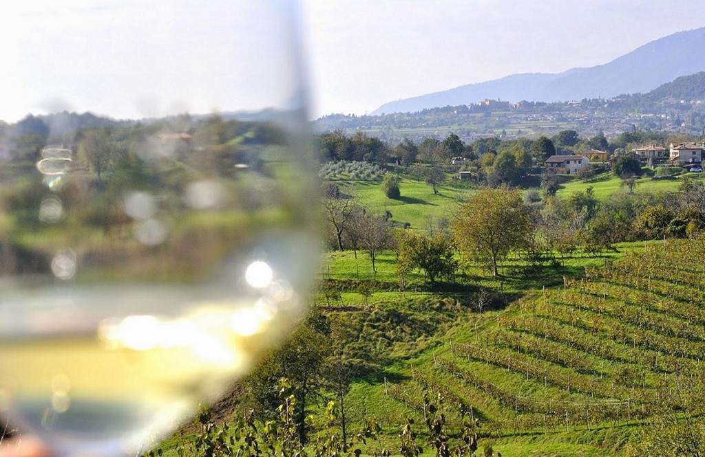 Wine Hotel San Giacomo Activity & Wellness Paderno del Grappa Bagian luar foto