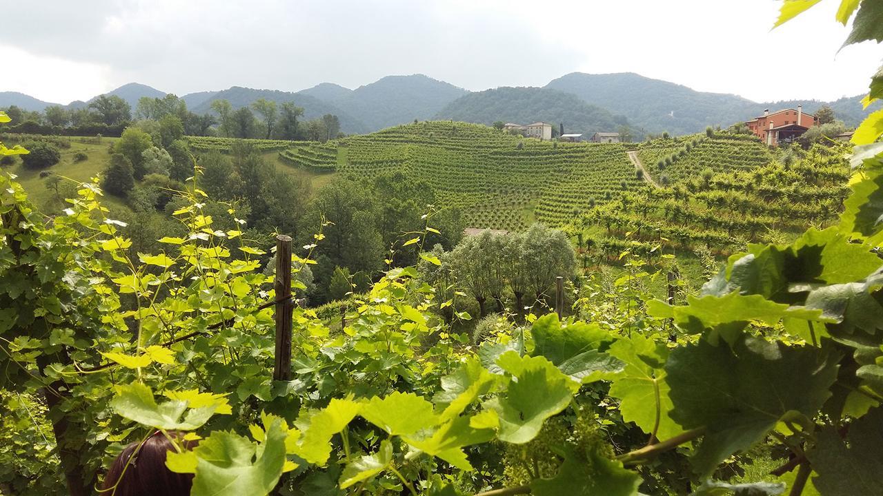 Wine Hotel San Giacomo Activity & Wellness Paderno del Grappa Bagian luar foto